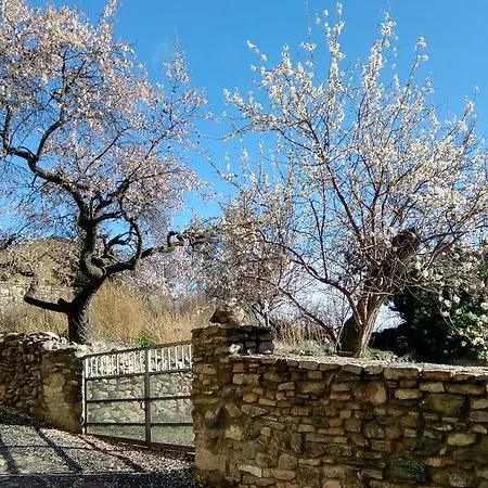 Coqueto Duplex En Apartment *